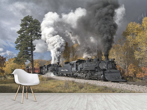 Peel and Stick Full Wall Mural Print For Living Room, Bedroom, Workspace "Train" Combination Of Technology And Nature