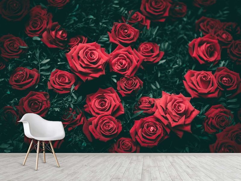 3D Non-Woven Wall Mural Natural Print Design For Bedroom, Living Room Photo Wallpaper "Red Roses"