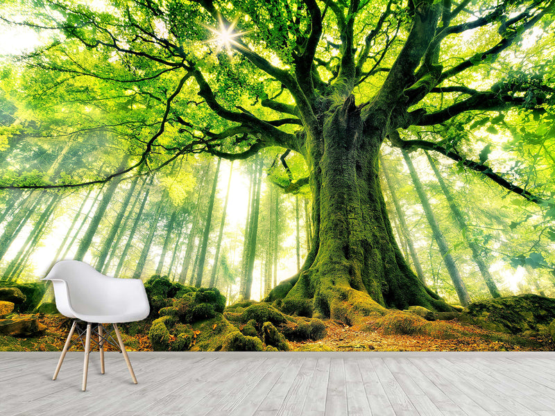 Modern Non-Woven Wallpaper "Tree of Life" — Art Design for a Cozy Living Room or Bedroom