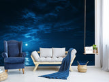 Non-Woven Mural Full Wall for Bedroom & Kitchen Print Moonlit Ocean at Night