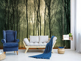 Peel & Stick Mural For  Office, Living Room & Bedroom - Forest Thicket Print