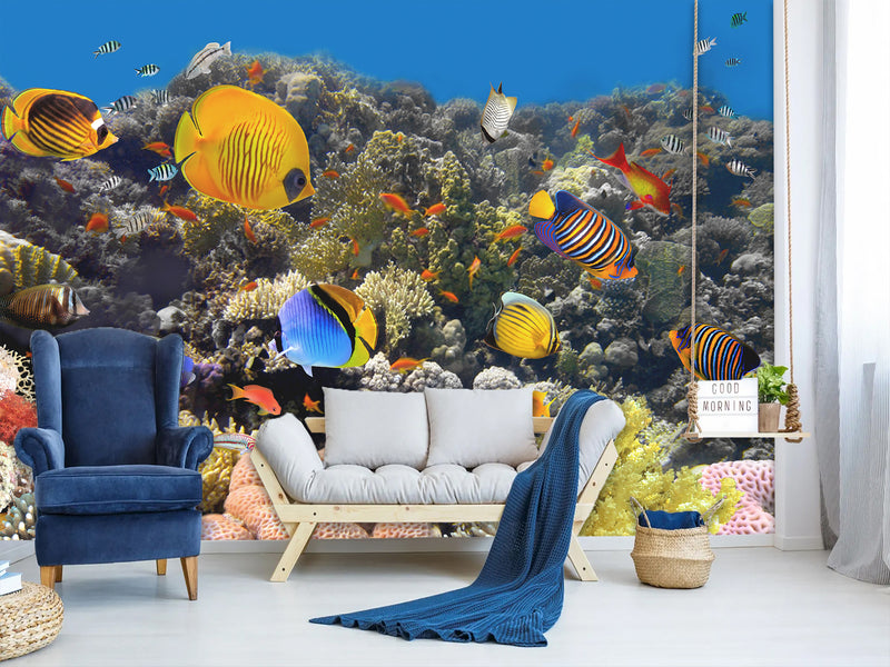 Nature Print Self-Adhesive Wallpaper "Fascinating Underwater World" – For School, Teen Room, Office 🌊