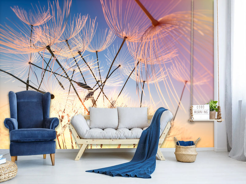 Peel & Stick Mural For Full Wall Photo Wallpaper – Dandelion in the Wind | Home Wall Desing