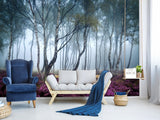 Peel and Stick Wallpaper with Fast Production for Bedroom & Living Room - Misty Birch Forest