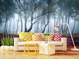 Peel and Stick Wallpaper with Fast Production for Bedroom & Living Room - Misty Birch Forest