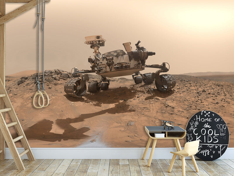 Peel & Stick Vinyl Wallpaper Space Design for Living Room or Office Print Mars Rover Wall Mural