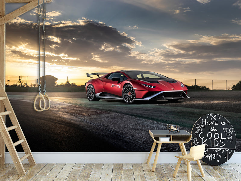 Non-Woven Mural Wallpaper For Gym Or Room – "Sports Car: Power And Nature", Decor For Bedroom