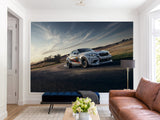 Peel and Stik Mural Full Print Wall Print High-Speed Racing Car Poster for Gym or Game Room Decor