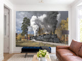 Peel and Stick Full Wall Mural Print For Living Room, Bedroom, Workspace "Train" Combination Of Technology And Nature