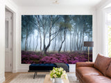 Peel and Stick Wallpaper with Fast Production for Bedroom & Living Room - Misty Birch Forest