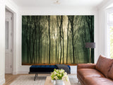 Peel & Stick Mural For  Office, Living Room & Bedroom - Forest Thicket Print