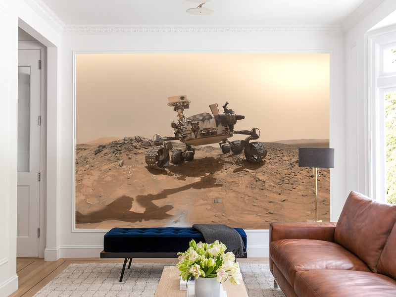 Peel & Stick Vinyl Wallpaper Space Design for Living Room or Office Print Mars Rover Wall Mural
