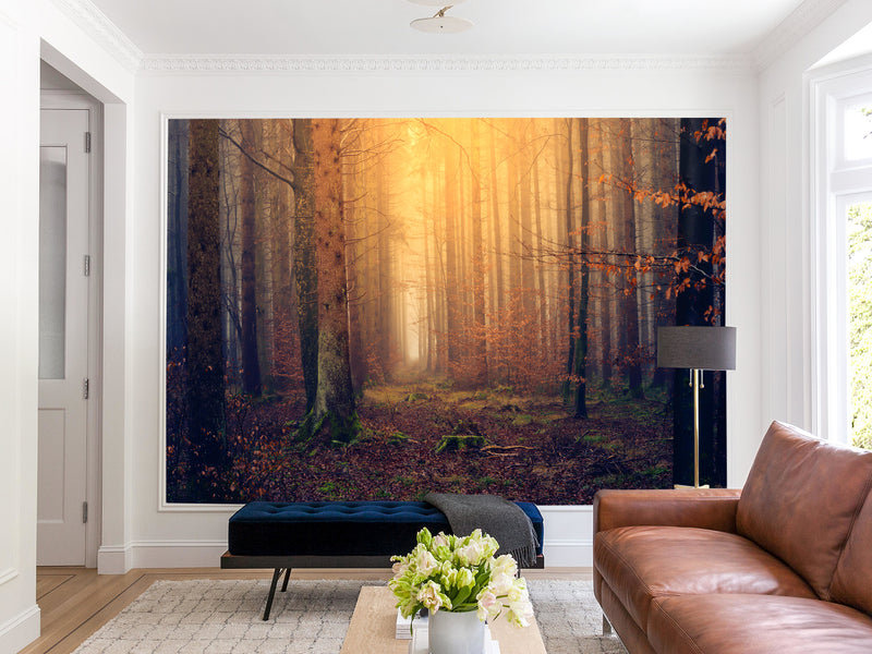 Modern Self-Adhesive Wallpaper "Autumn Forest" — Art Print for Office, Study, and Living Room