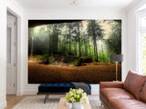 Non-Woven Mural Wallpaper Mural For Home, Office, Or Apartment Interior Decor - Art Cave View Of A Foggy Forest