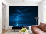 Non-Woven Mural Full Wall for Bedroom & Kitchen Print Moonlit Ocean at Night