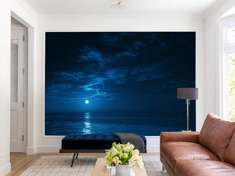 Non-Woven Mural Full Wall for Bedroom & Kitchen Print Moonlit Ocean at Night
