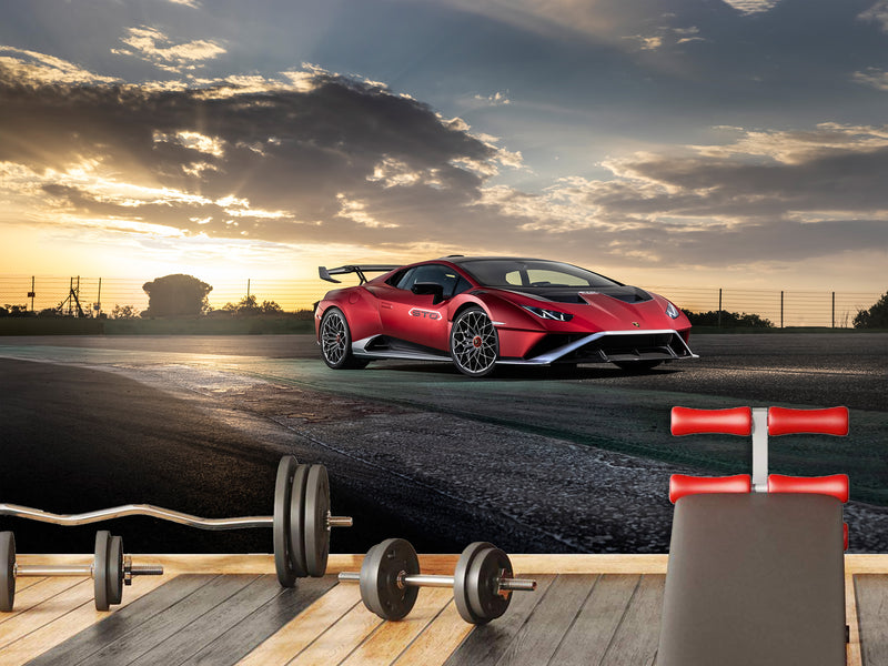 Non-Woven Mural Wallpaper For Gym Or Room – "Sports Car: Power And Nature", Decor For Bedroom