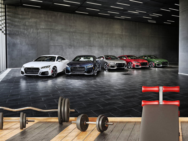 Self-Adhesive Wall Murals for Living Room, Office, or Room – "Colors of Dynamics: Audi TT RS Collection"