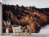 Autumn Forest Bedroom Print Wall Mural Traditional Wallpaper for Office Design for Workspace Forest Full Wall Poster 🍂