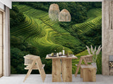 Lush Green Rice Terraces Aerial View – Peel and Stick Wall Mural Nature Landscape Wallpaper