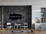 Peel and Stick Wall Mural Print for Office Science Theme Art Wall Kids Room Wallpaper Accent Wall “Chemistry and Formulas” Design for Classroom School Design Idea