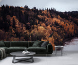 Autumn Forest Bedroom Print Wall Mural Traditional Wallpaper for Office Design for Workspace Forest Full Wall Poster 🍂