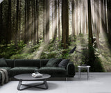 Non-Woven Wall Mural Sun Rays Through Trees – Nature Print for Living Room