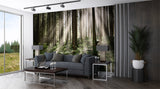 Non-Woven Wall Mural Sun Rays Through Trees – Nature Print for Living Room