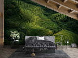 Lush Green Rice Terraces Aerial View – Peel and Stick Wall Mural Nature Landscape Wallpaper