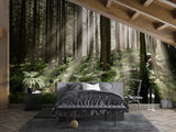 Non-Woven Wall Mural Sun Rays Through Trees – Nature Print for Living Room