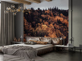 Autumn Forest Bedroom Print Wall Mural Traditional Wallpaper for Office Design for Workspace Forest Full Wall Poster 🍂