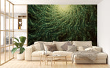 Green Spiral Energy Peel and Stick Wallpaper – Abstract Flowing Light Pattern Wall Mural for Bedroom, Playroom, and Creative Spaces