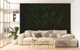 Aerial Forest Peel and Stick Wallpaper – Natural Fir Trees Wall Mural for Living Room & WorkspaceRoom & Office