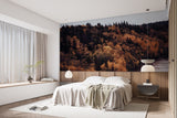 Autumn Forest Bedroom Print Wall Mural Traditional Wallpaper for Office Design for Workspace Forest Full Wall Poster 🍂