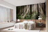 Non-Woven Wall Mural Sun Rays Through Trees – Nature Print for Living Room
