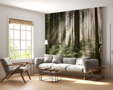 Non-Woven Wall Mural Sun Rays Through Trees – Nature Print for Living Room