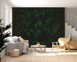 Aerial Forest Peel and Stick Wallpaper – Natural Fir Trees Wall Mural for Living Room & WorkspaceRoom & Office