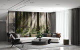 Non-Woven Wall Mural Sun Rays Through Trees – Nature Print for Living Room